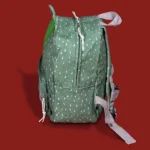 Σχολικές τσάντες backpack